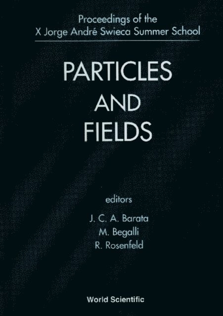 Rosenfeld Rogerio Rosenfeld, Begalli M Begalli, Barata Joao Carlos Alves Barata - Particles And Fields - Proceedings Of The X Jorge Andre Swieca Summer School, E-bok
