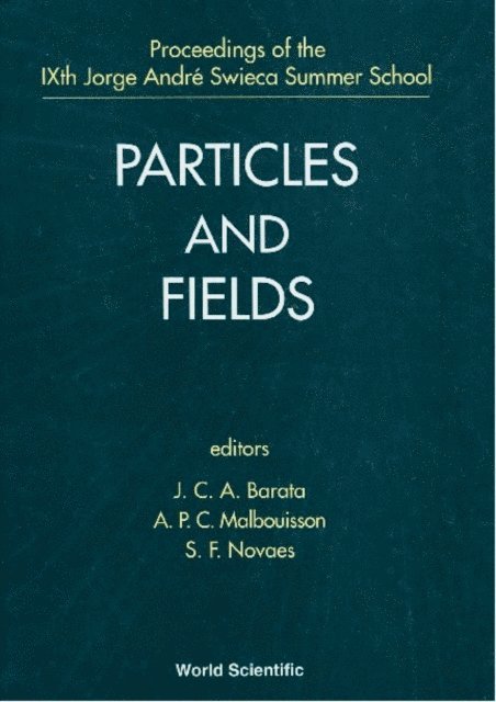 Novaes Sergio Ferraz Novaes, Malbouisson Adolfo P C Malbouisson, Barata Joao Carlos Alves Barata - Particles And Fields - Proceedings Of The Ixth Jorge Andre Swieca Summer School, E-bok