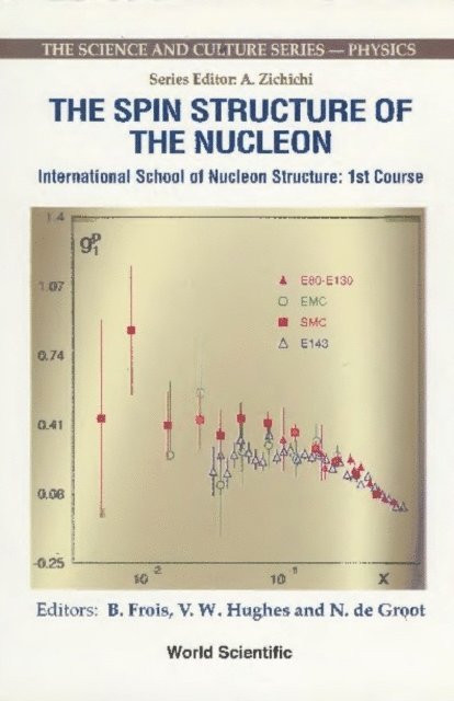 De Groot N De Groot, Hughes Vernon W Hughes, Frois Bernard Frois - Spin Structure Of The Nucleon, The, E-bok