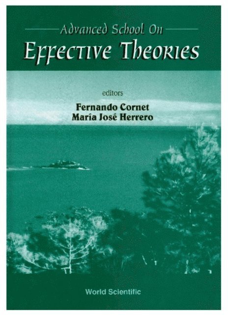 Jose Herrero Maria Jose Herrero, Cornet Fernando Cornet - Effective Theories - Proceedings Of The Advanced School, E-bok