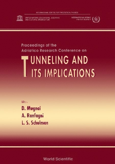 Schulman Lawrence S Schulman, Ranfagni Anedio Ranfagni, Mugnai D Mugnai - Tunneling And Its Implications: Proceedings Of The Adriatico Research Conference, E-bok