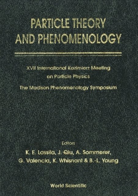 Young Bing Lin Young, Whisnant Kerry L Whisnant, Valencia German Valencia, Sommerer A Sommerer, Qiu Jianwei Qiu, Lassila Kenneth E Lassila - Particle Theory And Phenomenology - Proceedings Of Xvii International Kazimierz Meeting On Particle Physics And Of The Madison Phenomenology Symposium, E-bok