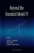Beyond The Standard Model Iv