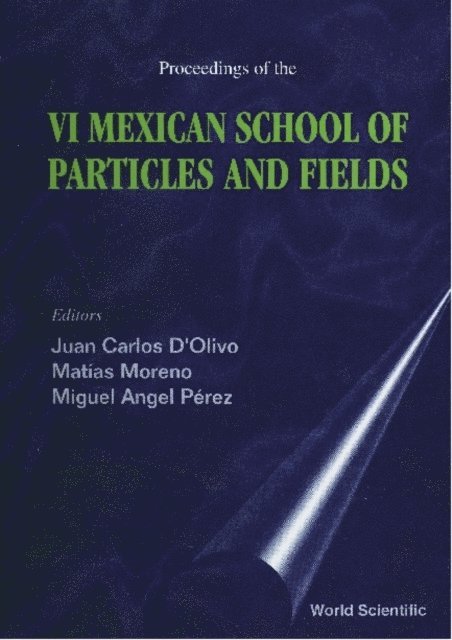 Moreno Matias Moreno, Perez Miguel Angel Perez, D'olivo Juan Carlos D'olivo - Particles And Fields - Proceedings Of The Vi Mexican School, E-bok