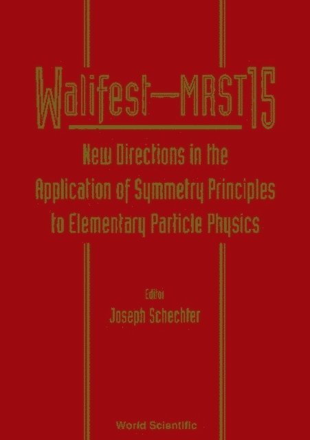 Schechter Joseph M Schechter - New Directions In The Application Of Symmetry Principles To Elementary Particle Physics: Walifest-mrst 15, E-bok