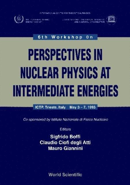 Degli Atti Claudio Ciofi Degli Atti, Giannini Mauro Giannini, Boffi Sigfrido Boffi - Perspectives In Nuclear Physics At Intermediate Energy - Proceedings Of The 6th Workshop, E-bok