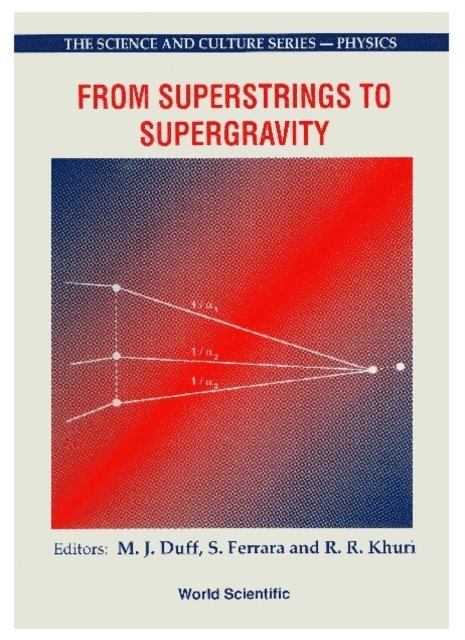 Khuri R R Khuri, Ferrara Sergio Ferrara, Duff Michael James Duff - From Superstrings To Supergravity - Proceedings Of The 26th Workshop Of The Eloisatron Project, E-bok
