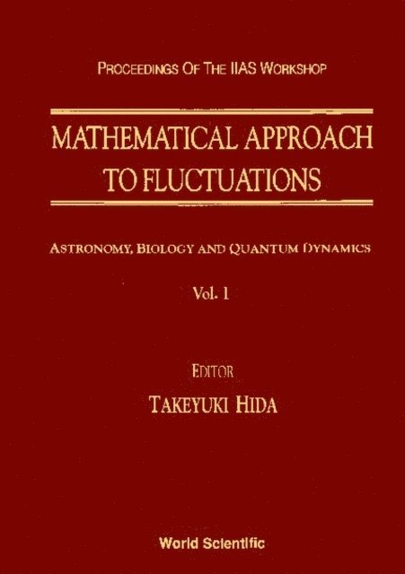 Hida Takeyuki Hida - Mathematical Approach To Fluctuations - Proceedings Of The Kyoto Workshop, E-bok