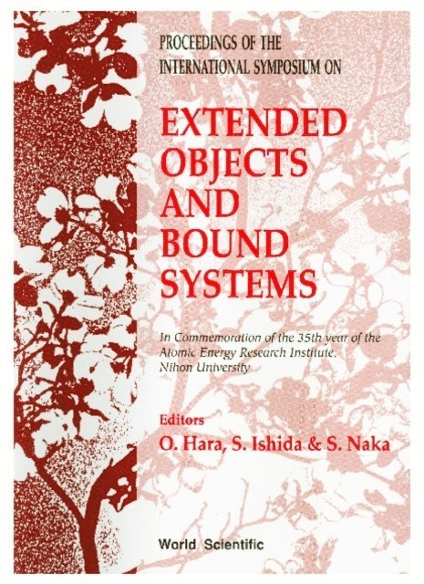 Ishida S Ishida, Hara O Hara, Naka S Naka - Extended Objects And Bound Systems: From Relativistic Description To Phenomenological Application - Proceedings Of The International Symposium, E-bok