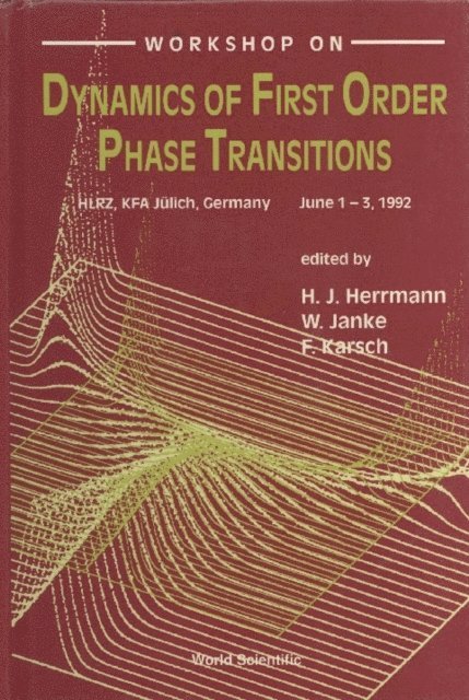 Karsch Frithjof Karsch, Janke W Janke, Herrmann Hans J Herrmann - Dynamics Of First Order Phase Transitions - Proceedings Of The Workshop, E-bok