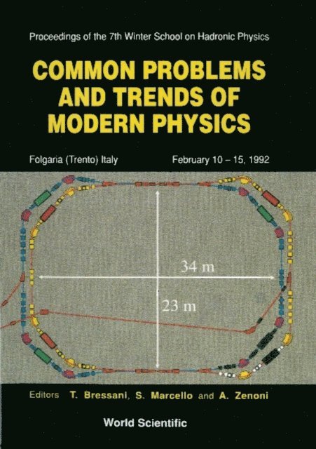 Marcello Simonetta Marcello, Zenoni A Zenoni, Bressani T Bressani - Common Problems And Trends Of Modern Physics - Proceedings Of The Vii Winter School On Hadronic Physics, E-bok