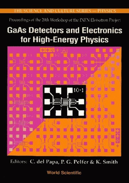 Smith K Smith, Pelfer Pier Giovanni Pelfer, Del Papa C Del Papa - Gaas Detectors And Electronics For High Energy Physics - Proceedings Of The 20th Infn Eloisatron Project Workshop, E-bok