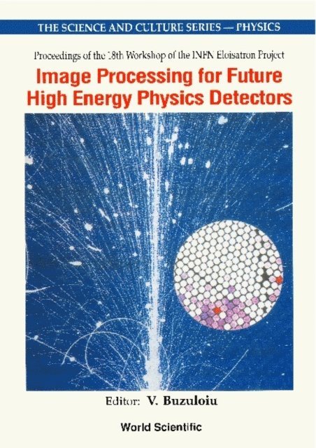Buzuloiu V Buzuloiu - Image Processing For Future High Energy Physics Detectors - Proceedings Of The 18th Workshop Of The Infn Eloisatron Project, E-bok