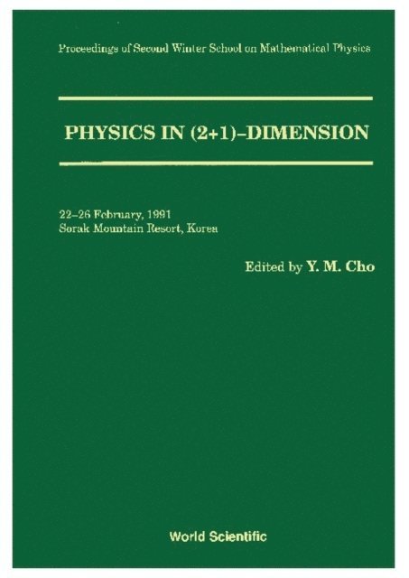 Cho Yongmin Cho - Physics In 2+1 Dimension - Proceedings Of The 2nd Winter School On Mathematical Physics, E-bok
