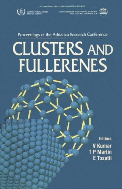 Martin T P Martin, Tosatti Erio Tosatti, Kumar V Kumar - Clusters And Fullerenes - Proceedings Of The Adriatico Research Conference, E-bok
