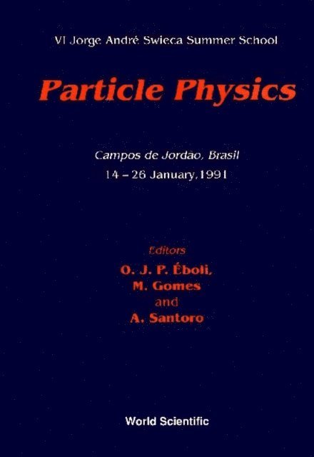 Santoro Alberto Santoro, Eboli Oscar J P Eboli, Gomes M O C Gomes - Particle Physics - Vi Jorge Andre Swieca Summer School, E-bok