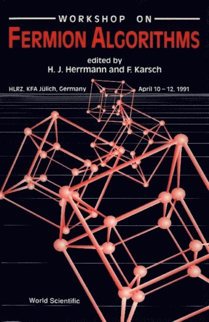 Herrmann Hans J Herrmann, Karsch Frithjof Karsch - Fermion Algorithms - Proceedings Of The Workshop, E-bok