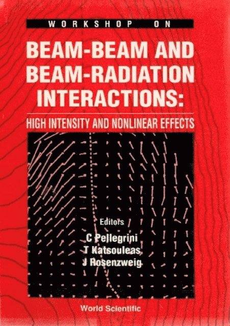 Rosensweig J Rosensweig, Katsouleas Thomas Katsouleas, Pellegrini Claudio Pellegrini - Beam-beam And Beam-radiation Interactions: High Intensity And Nonlinear Effects - Proceedings Of The 7th Icfa Workshop On Beam Dynamics, E-bok