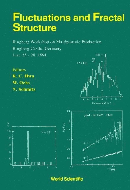 Schmitz Norbert Schmitz, Ochs Wolfgang Ochs, Hwa Rudolph C Hwa - Fluctuations And Fractal Structure - Proceedings Of The Ringberg Workshop On Multiparticle Production, E-bok