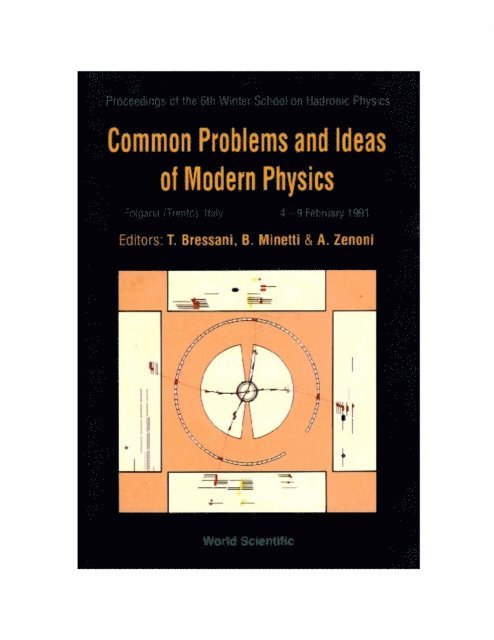 Zenoni A Zenoni, Minetti Bruno Minetti, Bressani T Bressani - Common Problems And Ideas Of Modern Physics - Proceedings Of The 6th Winter School On Hadronic Physics, E-bok