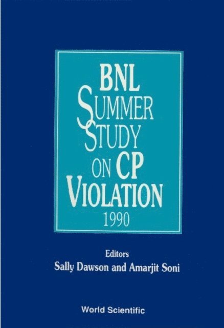 Dawson Sally Dawson, Soni Amarjit Soni - Cp Violation - Proceedings Of The Bnl Summer Study, E-bok