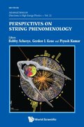 Perspectives On String Phenomenology
