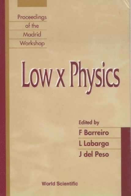 Del Peso Jose Del Peso, Labarga Luis Echeverria Labarga, Barreiro Fernando Barreiro - Low X Physics - Proceedings Of The Madrid Workshop, E-bok
