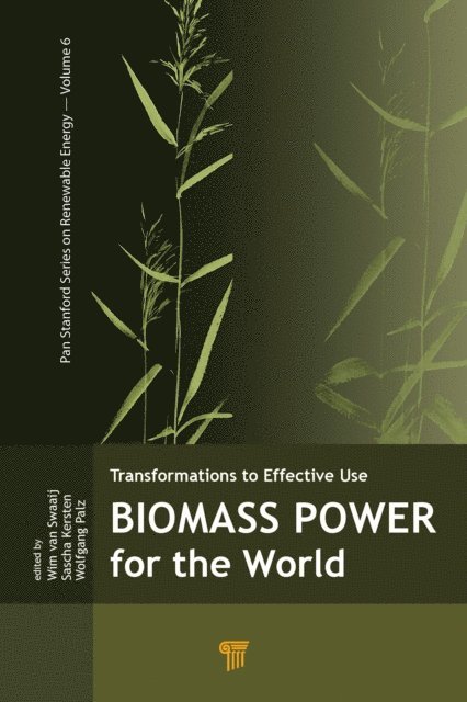 Wolfgang Palz, Sascha R. A. Kersten, Wim P. M. van Swaaij - Biomass Power for the World, E-bok