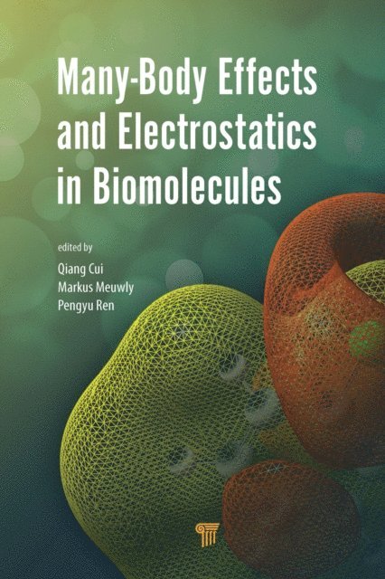 Pengyu Ren, Markus Meuwly, Qiang Cui - Many-Body Effects and Electrostatics in Biomolecules, E-bok