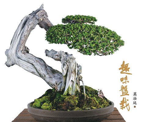 BOH TWANG KENG - QU WEI PAN ZAI, Inbunden