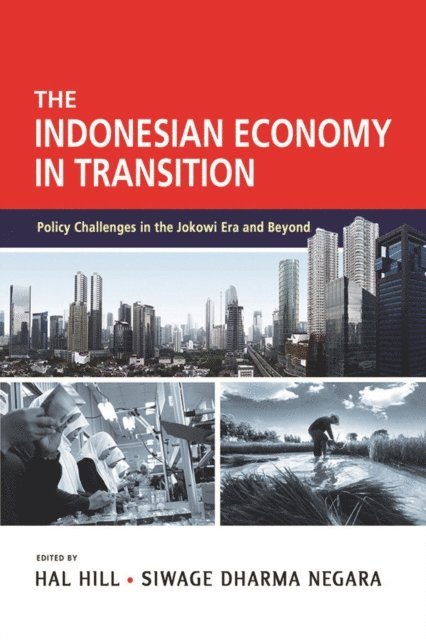 Siwage Dharma Negara, Hal Hill - Indonesian Economy in Transition, E-bok