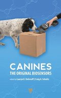 Canines