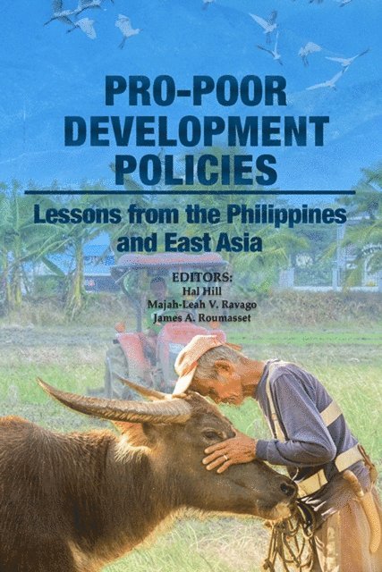 James A. Roumasset, Majah-Leah V. Ravago, Hal Hill - Pro-poor Development Policies, E-bok