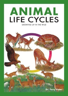 Tony Hare - Animal Life Cycles, Häftad