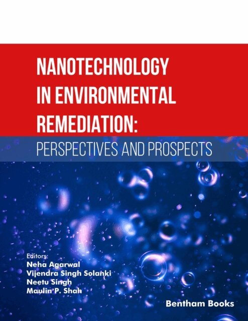 Neha Agarwal - Nanotechnology in Environmental Remediation: Perspectives and Prospects, E-bok