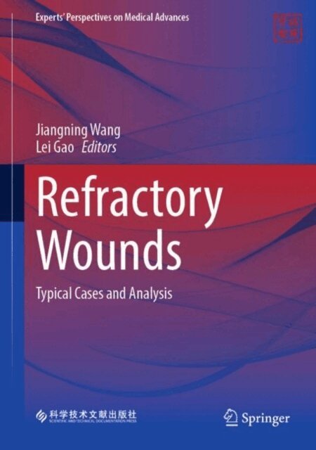 Lei Gao, Jiangning Wang - Refractory Wounds, E-bok
