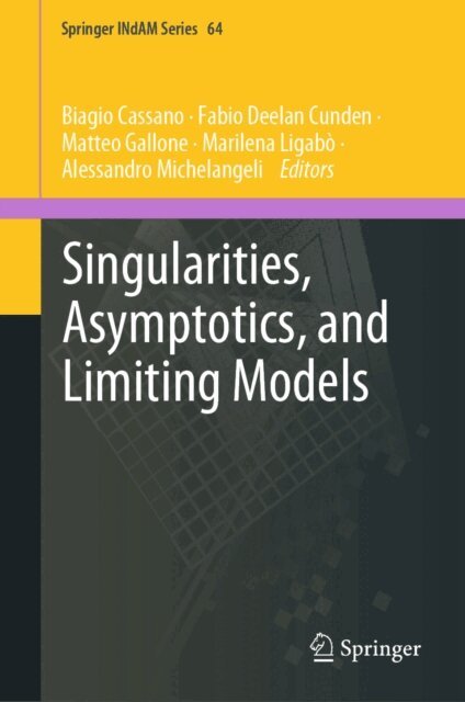 Alessandro Michelangeli, Marilena Ligabo, Matteo Gallone, Fabio Deelan Cunden, Biagio Cassano - Singularities, Asymptotics, and Limiting Models, E-bok