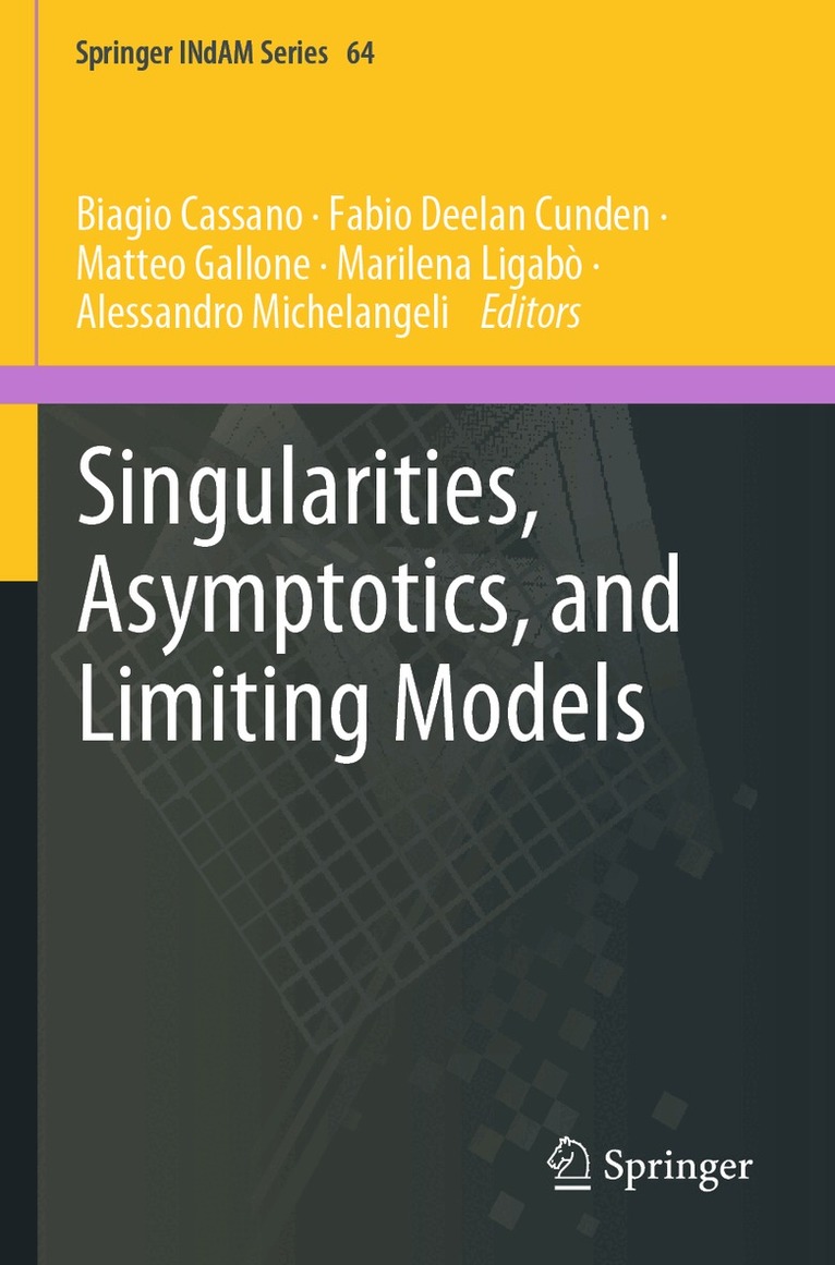 Biagio Cassano, Fabio Deelan Cunden, Matteo Gallone, Marilena Ligabò, Alessandro Michelangeli - Singularities, Asymptotics, and Limiting Models, Häftad. Tillgänglighet: Lägg i varukorg