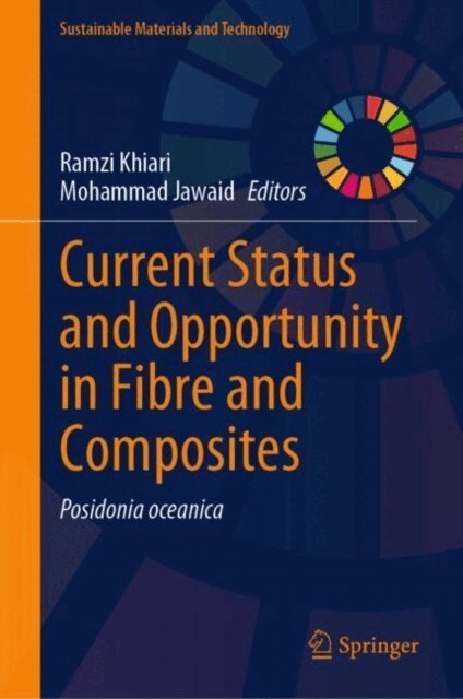 Mohammad Jawaid, Ramzi Khiari - Current Status and Opportunity in Fibre and Composites, E-bok