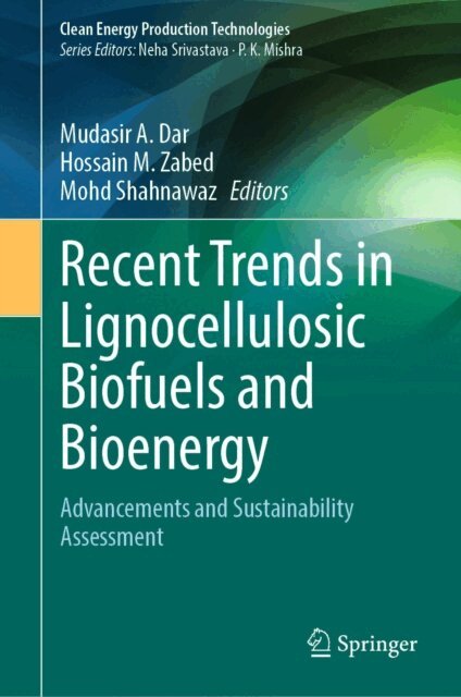 Mohd Shahnawaz, Hossain M. Zabed, Mudasir A. Dar - Recent Trends in Lignocellulosic Biofuels and Bioenergy, E-bok
