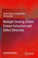 Zhifen Zhang, Guangrui Wen, Wenjing Ren - Multiple Sensing-Driven Feature Extraction and Defect Detection, Häftad