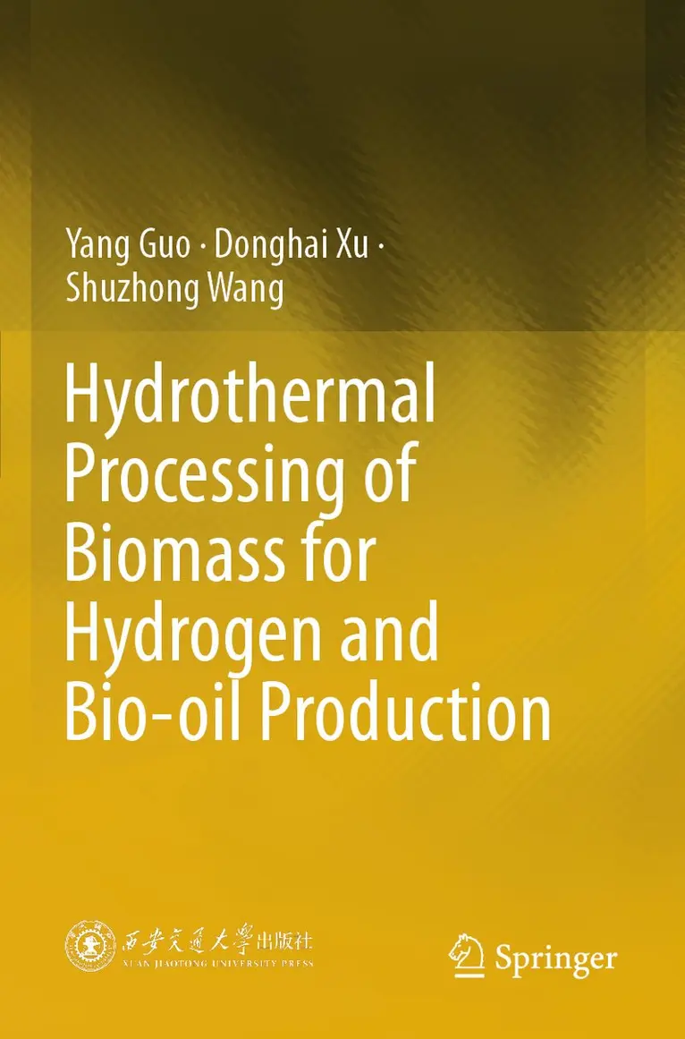 Yang Guo, Donghai Xu, Shuzhong Wang - Hydrothermal Processing of Biomass for Hydrogen and Bio-oil Production, Häftad. Tillgänglighet: Lägg i varukorg