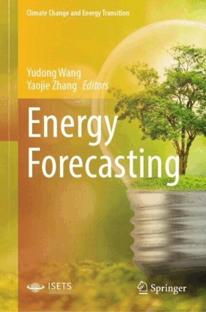 Yaojie Zhang, Yudong Wang - Energy Forecasting, E-bok