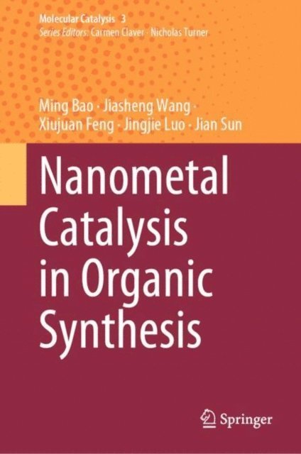 Jian Sun, Jingjie Luo, Xiujuan Feng, Jiasheng Wang, Ming Bao - Nanometal Catalysis in Organic Synthesis, E-bok