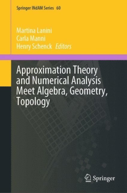 Henry Schenck, Carla Manni, Martina Lanini - Approximation Theory and Numerical Analysis Meet Algebra, Geometry, Topology, E-bok