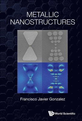 Francisco Javier Gonzalez - Metallic Nanostructures, Inbunden
