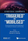 Strategic Currents: "Triggered" And "Mobilised": Evolving Identities And Implications For National Cohesion And Security