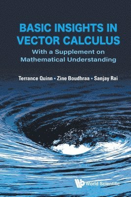 Terrance J Quinn, Zine Boudhraa, Sanjay Rai - Basic Insights In Vector Calculus: With A Supplement On Mathematical Understanding, Häftad