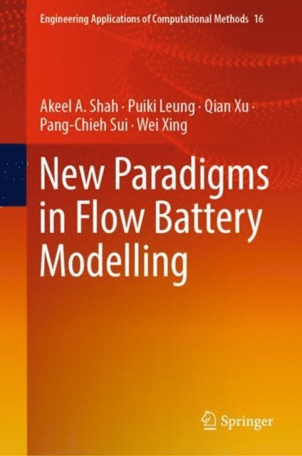 Wei Xing, Pang-Chieh Sui, Qian Xu, Puiki Leung, Akeel A. Shah - New Paradigms in Flow Battery Modelling, E-bok