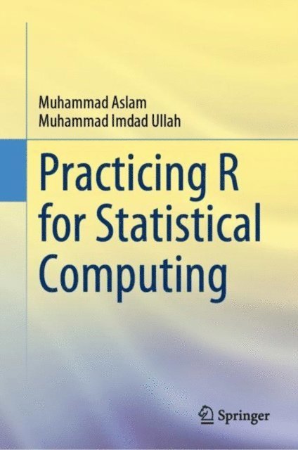 Muhammad Imdad Ullah, Muhammad Aslam - Practicing R for Statistical Computing, E-bok